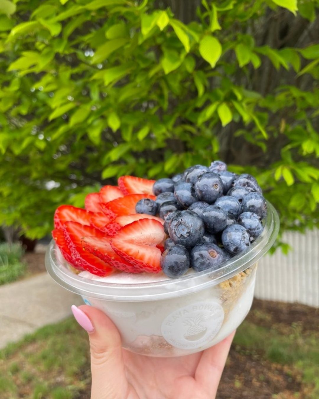 A coconut bowl topped with strawberry and blueberry