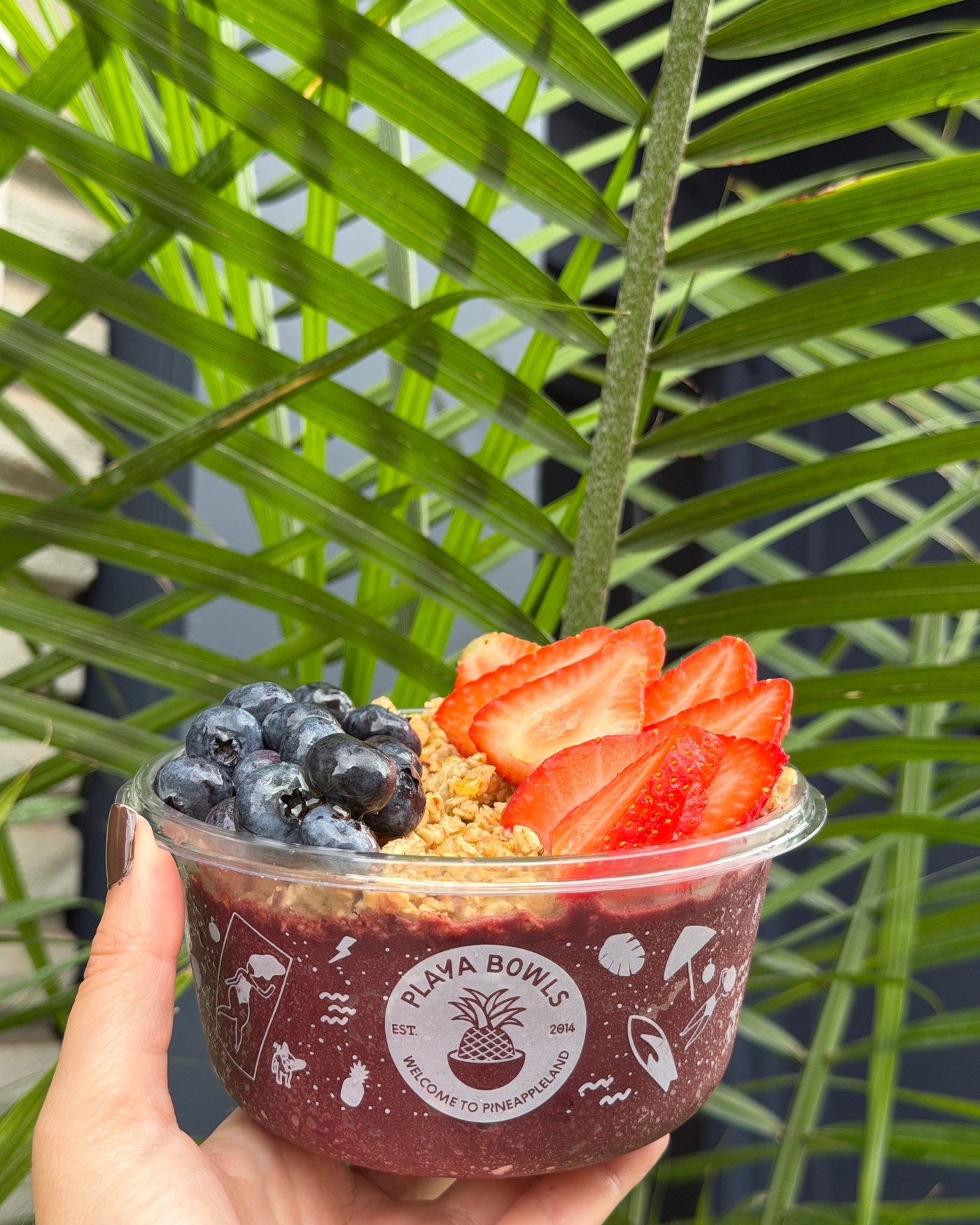 A pitaya bowl with strawberry and blueberry on palm leaves
